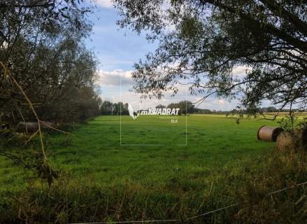 Działka na sprzedaż, 11800 m2, Okrasin