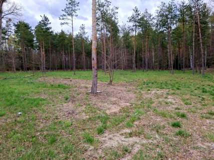 Działki bud. Rydzewo gm Miłki