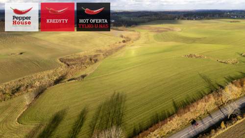 Niedamowo działka 4900 m2 200 m od jeziora