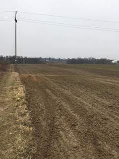 Działka 3000m2 Tomaszowice- Kolonia