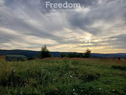 1,38 ha pod siedlisko, działka widokowa