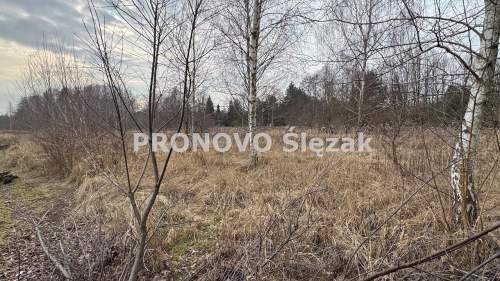 Działka budowlana 10,8 ara   Jary k. Obornik Śl.