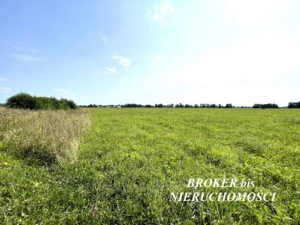 DZIAŁKA POD ZABUDOWĘ JEDNORODZINNĄ W PRĄDOCINIE