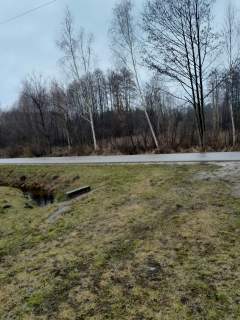 Międzyborów / Bieganów