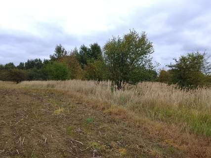 Działka budowlana na sprzedaż, 1492 m2, Stara Dąbrowa