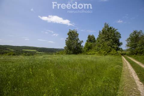 1,8 ha pod rekreację, siedlisko lub fotowoltaikę