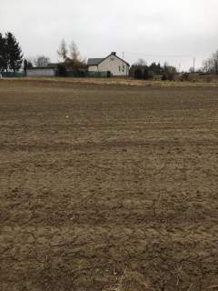 Działka 3000m2 Tomaszowice- Kolonia