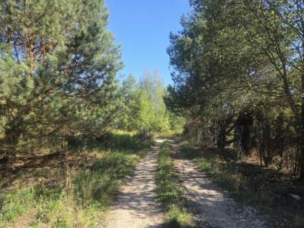 pod rezydencje, bliźniaki, drzewa, możliwy podział
