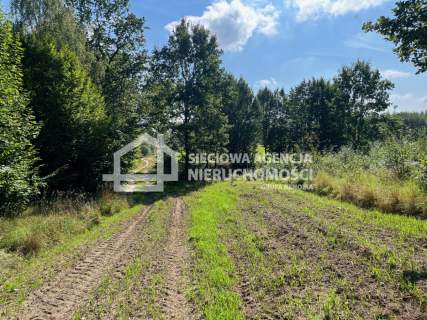 Kaszuby - działka 1,1 ha z warunkami zabudowy.