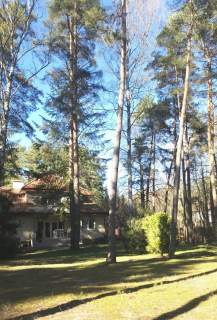 Przestronny dom Konstancin starodrzew