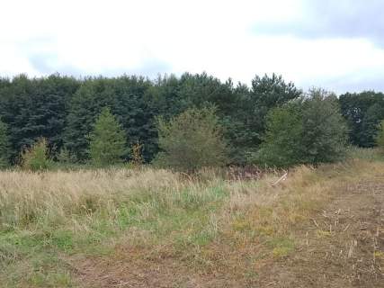 Działka budowlana na sprzedaż, 1492 m2, Stara Dąbrowa