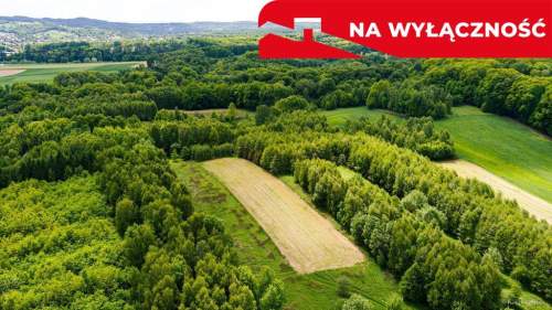 3 działki rolne na sprzedaż Skrzyszów 1,56 ha