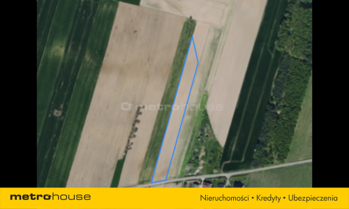 Działka siedliskowa z planem zagosp. Rowiska