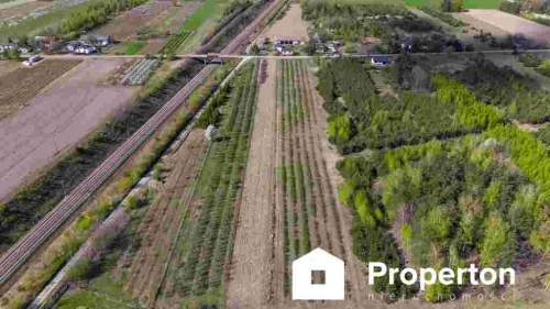 Gospodarstwo sadownicze 6,86 ha Franciszków