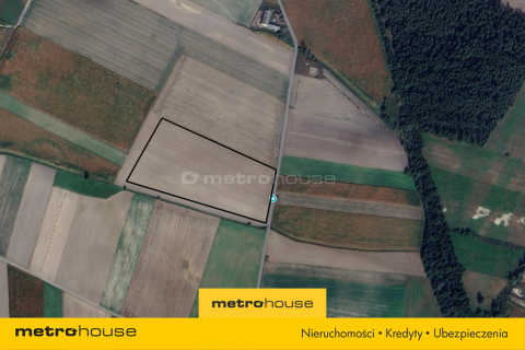 Teren przemysłowy na sprzedaż 40 000 m
