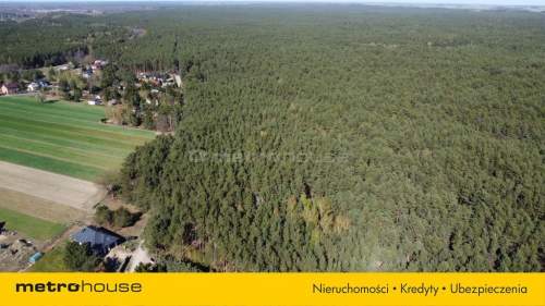 1.2 hektara - działka leśna w miejscowości Łacha