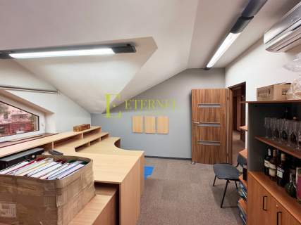 Lokal użytkowy/biurowy z klimatyzacją 163,70m2