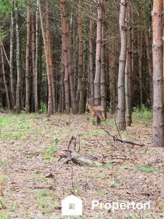Prywatny azyl blisko Warszawy działka 900m