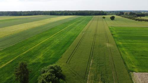 Działka rolna 3 ha w Jasieńcu Soleckim zwoleński 