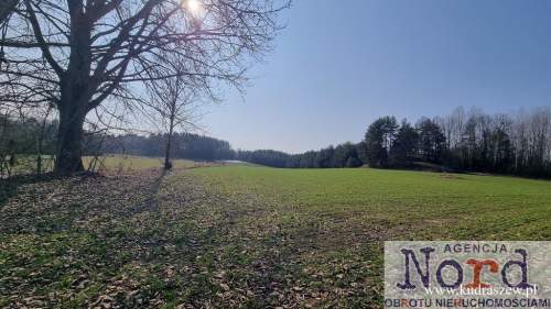 Działka budowlana na sprzedaż, 105800 m2, Kopczany