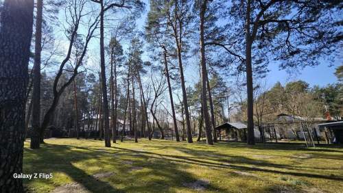 Dom 450 m2 otoczony starodrzewiem