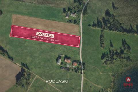 Działka rolno-budowlana Podlaski, Gmina Sejny