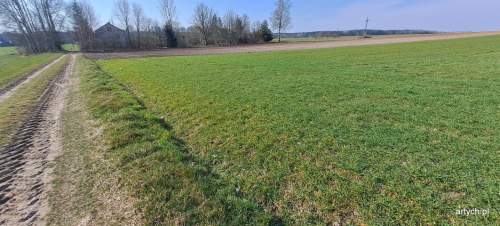 Działka rolna na sprzedaż, 39300 m2, Hołowienki