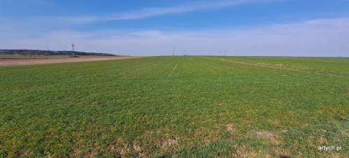 Działka rolna na sprzedaż, 39300 m2, Hołowienki