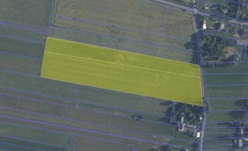 Działka rolna na sprzedaż, 39300 m2, Hołowienki