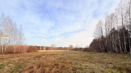 Działka w środku lasu z WZ Wolaniny