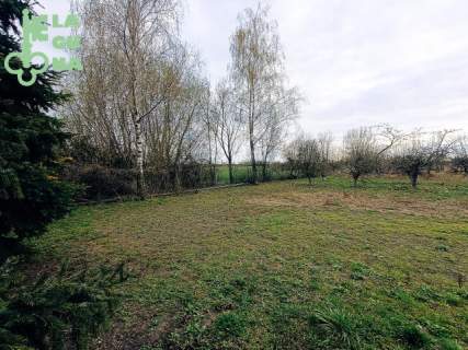 Dom w Kutnie w cenie mieszkania, Działka ok 2500 m2