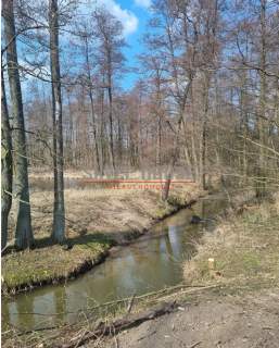Działka na sprzedaż, 9000 m2, Tomaszówka