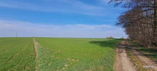 Działka rolna na sprzedaż, 39300 m2, Hołowienki