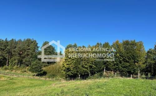 Kaszuby - działka 1,1 ha z warunkami zabudowy.