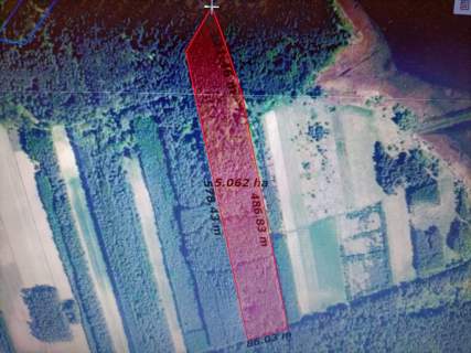 Działka leśna 3,90 ha w Brodach gm. Pierzchnica.