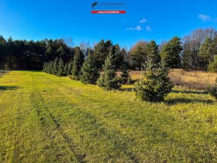 Działka budowlana na sprzedaż, 1694 m2, Rychlik