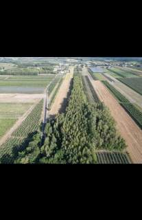 Sprzedam dwie działki w pakiecie, po 3000 m2 każda