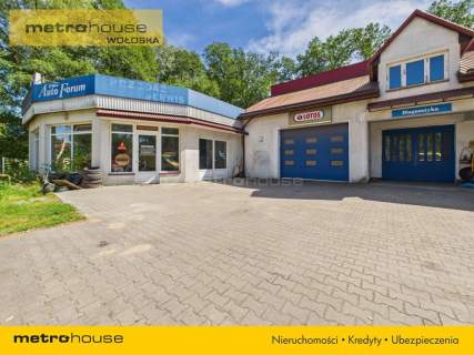 Lokal użytkowy na sprzedaż, 250 m2, Gostynin