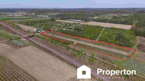 Gospodarstwo sadownicze 6,86 ha Franciszków