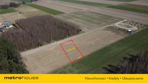 Działki budowlane, Kazimierz, natura