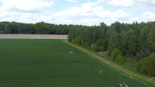 Działka 2,15 ha z potencjałem koło Nałęczowa.
