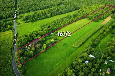 Kotowice siedlisko Jura Krakowsko-Częstochowska