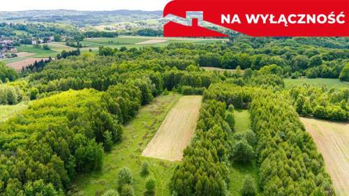 3 działki rolne na sprzedaż Skrzyszów 1,56 ha