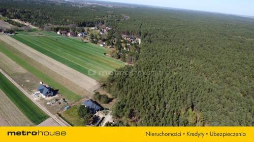 1.2 hektara - działka leśna w miejscowości Łacha