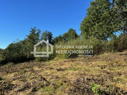 Kaszuby - działka 1,1 ha z warunkami zabudowy.