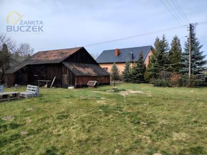 Sprzedam siedlisko w Nieborowie