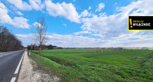 Działka 10 800m2 Łubnice w otoczeniu pól, obok las