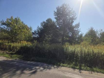 pod rezydencje, bliźniaki, drzewa, możliwy podział