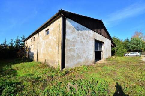 Obiekt do wynajęcia, 300 m2, Kłodawa
