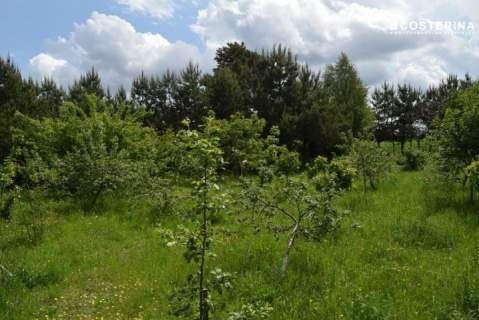 Dom 270 m2 dla dwóch rodzin - okolice Gołubia